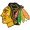 Chicago Blackhawks