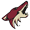 Arizona Coyotes