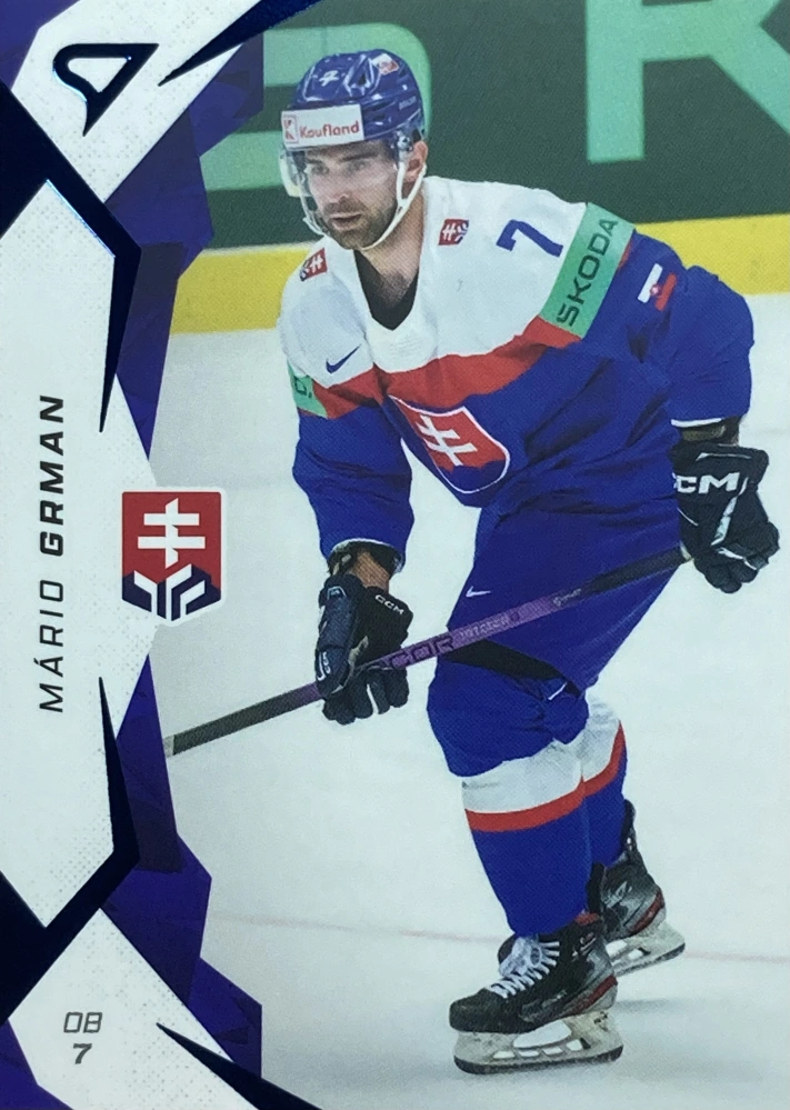 2025 Hokejové Slovensko BLUE #14 Mário Grman
