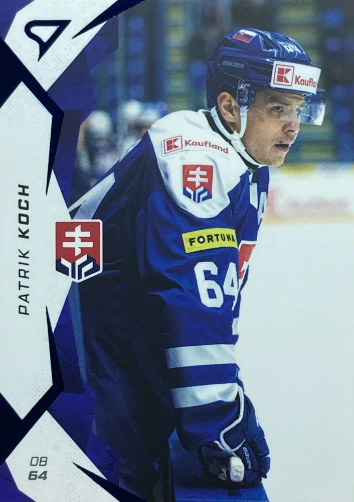 2025 Hokejové Slovensko BLUE #17 Patrik Koch