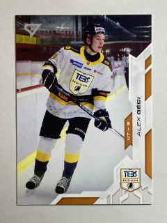 2025/26 Tipos SHL #104 Alex Géci