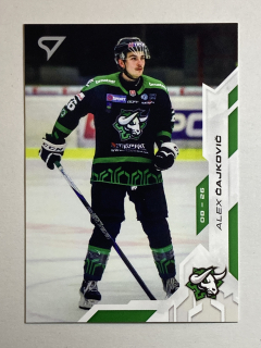 2025/26 Tipos SHL #119 Alex Čajkovič