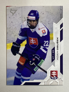 2025/26 Tipos SHL #143 Adam Obušek