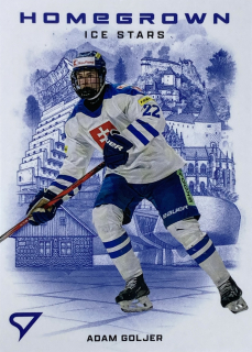 2026 Hokejové Slovensko #HS-06 Adam Goljer - HOMEGROWN ICE STARS