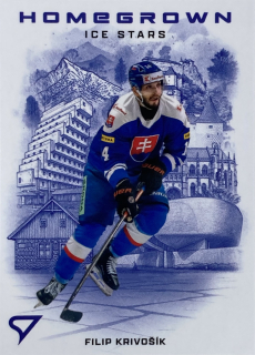 2026 Hokejové Slovensko #HS-14 Filip Krivošík - HOMEGROWN ICE STARS