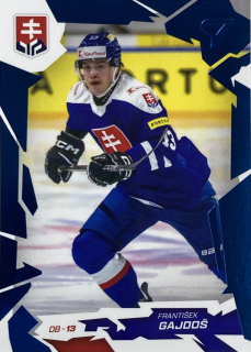 2026 Hokejové Slovensko COBALT BLUE #07 František Gajdoš