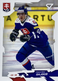 2026 Hokejové Slovensko #07 František Gajdoš