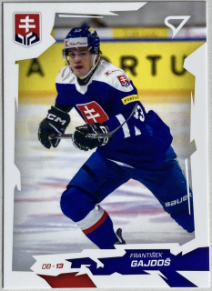 2026 Hokejové Slovensko #07 František Gajdoš