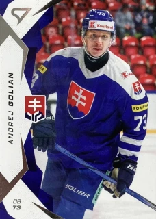 2025 Hokejové Slovensko #13 Andrej Golian