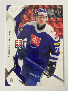 2025 Hokejové Slovensko #13 Andrej Golian