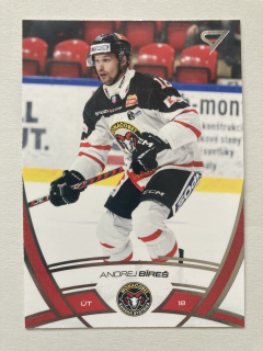 2024/25 Tipos Extraliga #118 Andrej Bíreš