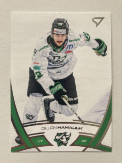 2024/25 Tipos Extraliga #192 Dillon Hamaliuk
