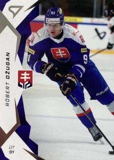 2025 Hokejové Slovensko #34 Róbert Džugan