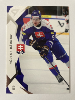 2025 Hokejové Slovensko #34 Róbert Džugan