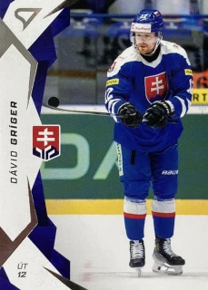 2025 Hokejové Slovensko #37 Dávid Gríger
