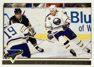 1993-94 Topps Premier #431 Bob Sweeney - GOLD