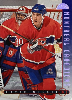 1995–96 Leaf #259 David Wilkie