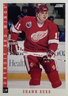 1993-94 Score American #175 Shawn Burr