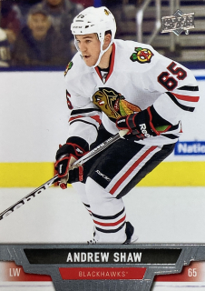 2013-14 UD Series One #114 Andrew Shaw