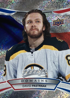 2022-23 MVP #NA-10 David Pasterňák - DOMAINS