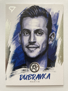 2021 Slovenskí Sokoli #SP01 Martin Dúbravka - STREET ART PORTRÉT