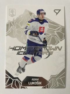 2025 Hokejové Slovensko HOMEGROWN ICE STARS #HS-14 Adam Lukošík