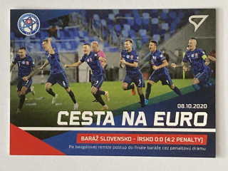 2021 Slovenskí Sokoli #CE14 Baráž Slovensko - Írsko 0:0 (4:2 penalty) - CESTA NA EURO