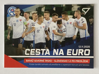 2021 Slovenskí Sokoli #CE16 Baráž Severné Írsko - Slovensko 1:2 po predĺžení - CESTA NA EURO