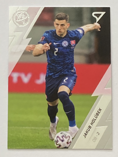 2021 Slovenskí Sokoli #07 Jakub Holúbek