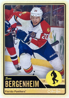 2012-13 O-Pee-Chee #319 Sean Bergenheim