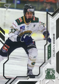 2025/26 Tipos SHL BRILLIANT SILVER #089 Dušan Dobiš