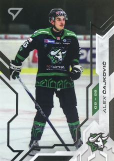 2025/26 Tipos SHL BRILLIANT SILVER #119 Alex Čajkovič