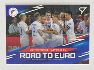 2024 Slovenskí Sokoli #RE-07 Lichtenštajnsko - Slovensko 0:1 - ROAD TO EURO