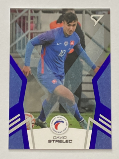 2024 Slovenskí Sokoli BLUE #33 David Strelec