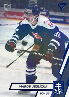 2023 Hokejové Slovensko BLUE #31 Maroš Jedlička