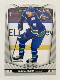 2024-25 O-Pee-Chee #089 Dakota Joshua