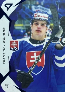 2025 Hokejové Slovensko BLUE #11 František Gajdoš
