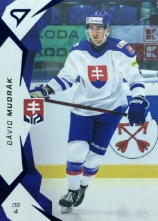 2025 Hokejové Slovensko BLUE #19 Dávid Mudrák
