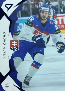 2025 Hokejové Slovensko BLUE #30 Viliam Čacho