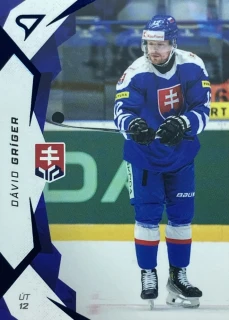 2025 Hokejové Slovensko BLUE #37 Dávid Gríger