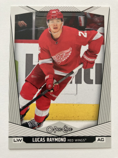 2024-25 O-Pee-Chee #460 Lucas Raymond