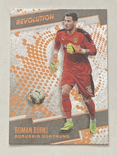 2017 Panini Revolution #030 Roman Rürki