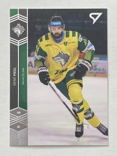 2018/19 Tipsport liga #114 René Piegl