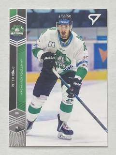 2018/19 Tipsport liga #130 Peter König