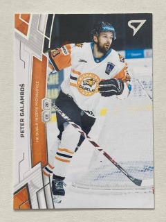 2019/20 Tipsport liga #229 Peter Galamboš