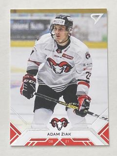 2020/21 Tipos Extraliga #008 Adam Žiak