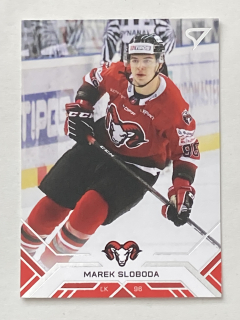 2020/21 Tipos Extraliga #014 Marek Sloboda