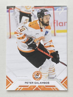 2020/21 Tipos Extraliga #117 Peter Galamboš
