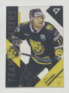 2020/21 Tipos Extraliga #P17 Ján Sýkora - TEAM LEADERS