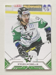 2020/21 Tipos Extraliga #U-100 Steven Iacobellis